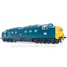 Load image into Gallery viewer, NEW - Never Been Out of Box - Accurascale - Class 55 - Deltic - 55020 - Nimbus - BR Blue - DCC Sound Fitted - OO Gauge