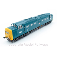 Load image into Gallery viewer, NEW - Never Been Out of Box - Accurascale - Class 55 - Deltic - 55020 - Nimbus - BR Blue - DCC Sound Fitted - OO Gauge