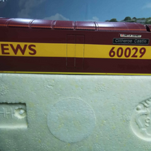Load image into Gallery viewer, Hornby Class 60 - Diesel Locomotive Body - EWS Livery No. 60029 - OO Gauge
